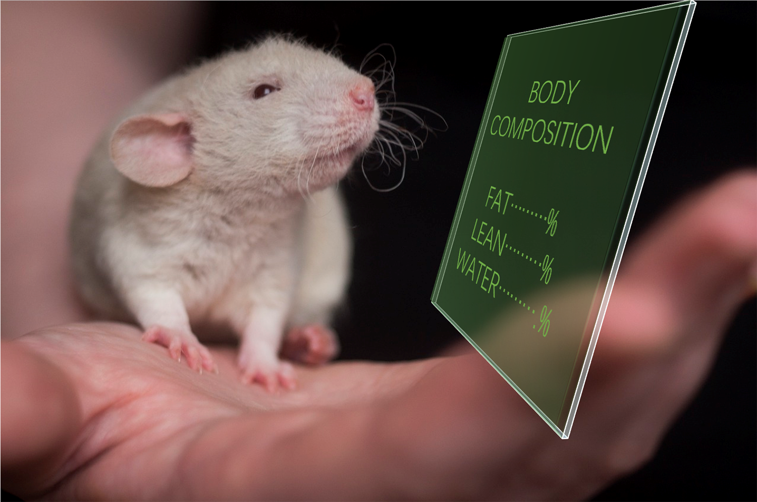 核磁共振动物体成分分析仪（清醒动物体脂、筋肉、水分含量快速测试）体验测试服务开放中