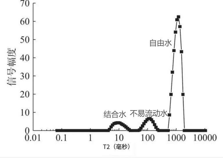 低场核磁技术在陈酿黄酒风味化合物研究中的应用